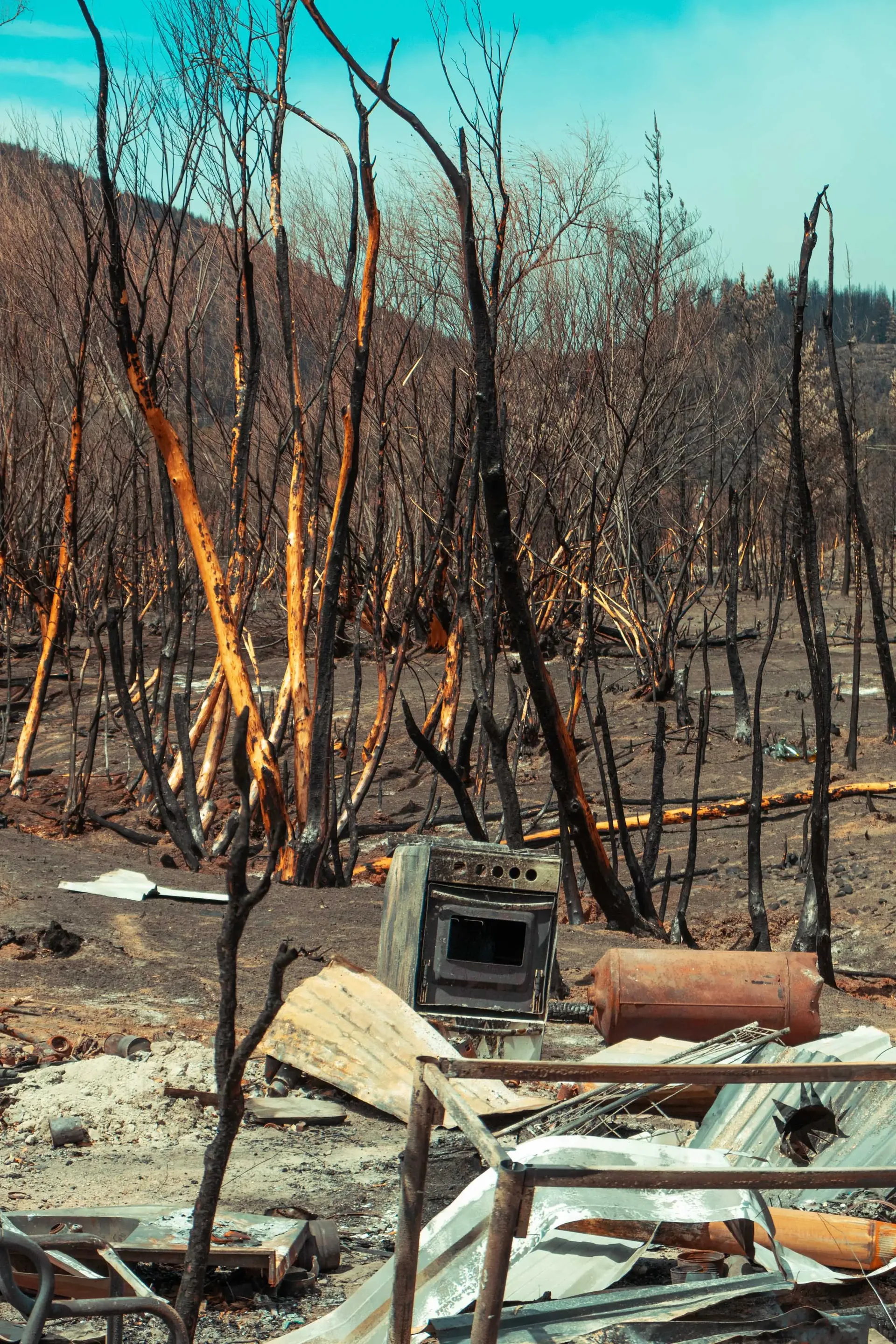 Incendios en la Comarca Andina — registro documental