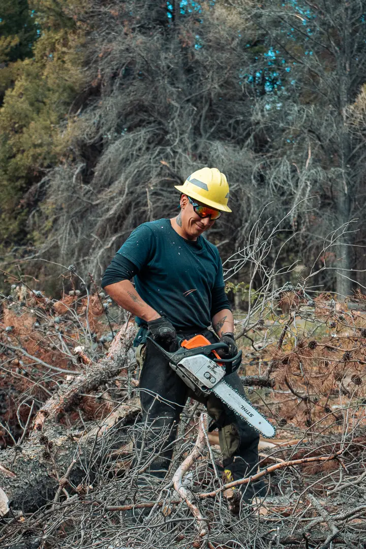 Trabajador con casco y motosierra despejando ramas en el bosque — registro documental