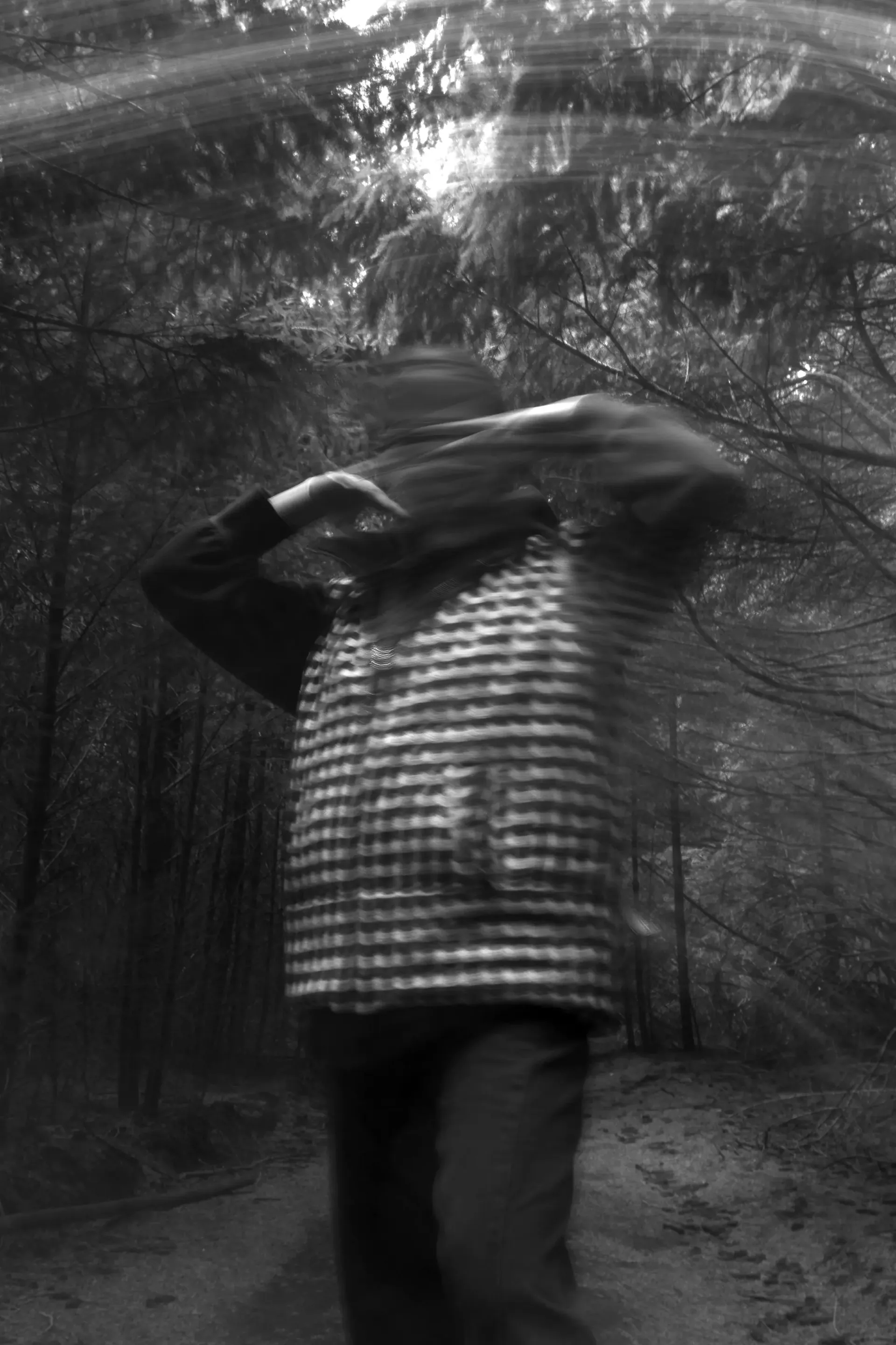 Silueta caminando por un sendero del bosque con barrido de movimiento, blanco y negro